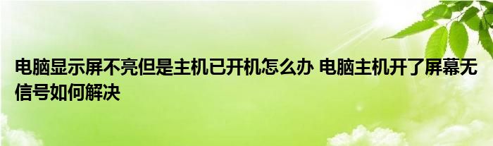 电脑网页一直显示解析主机