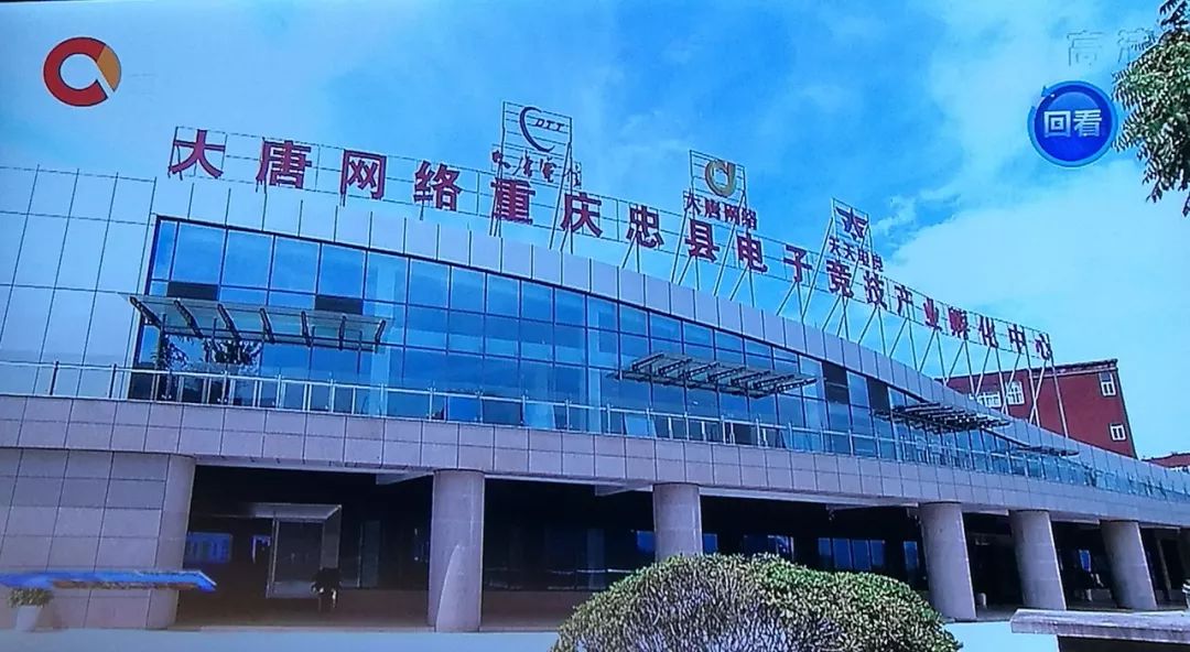 重庆忠县网站建设调研报告