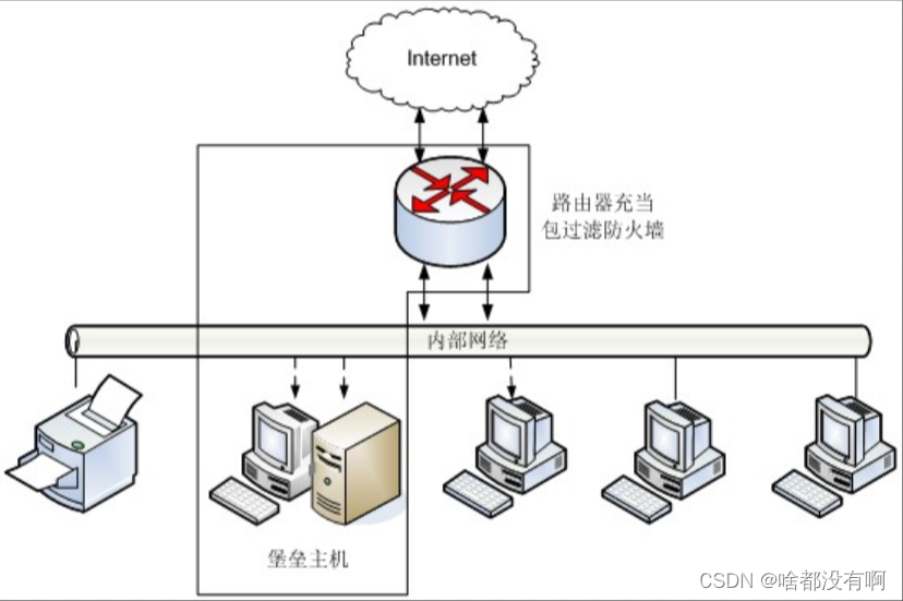 双重宿主主机结构作用