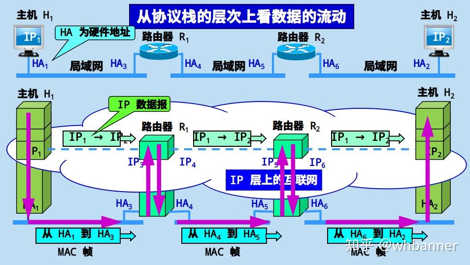 主机层数据层网络层